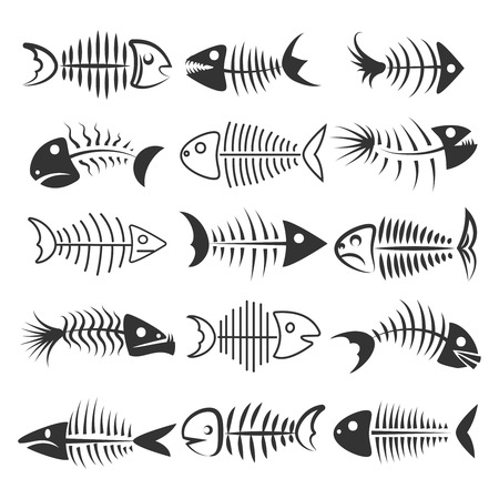 Download Fish Dead Fish Bones Drawing
