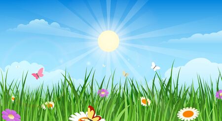 153 3 草原 のイラスト素材 ベクター 123rf 153 3 草原 のイラスト素材 ベクター 123rf