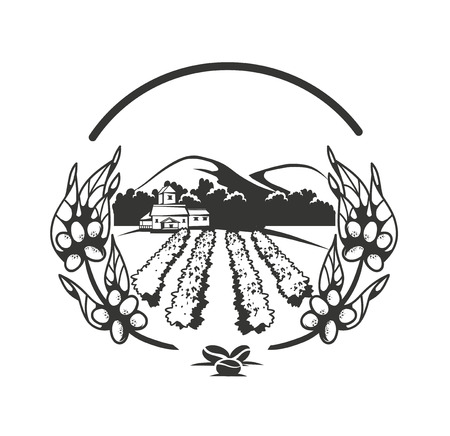 illustration of a coffee plantation on a white background