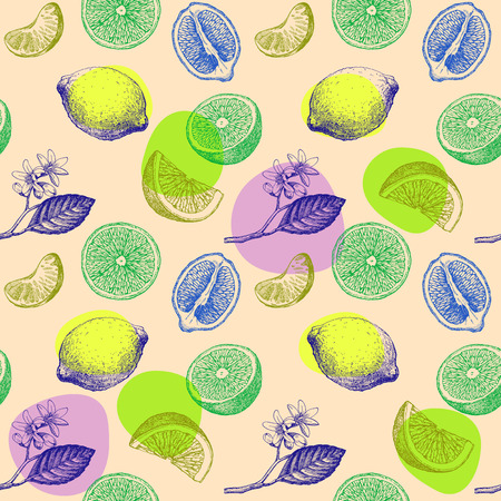 レモン オレンジ みかんのシームレスなパターン 手描きのイラスト の写真素材 画像素材 Image