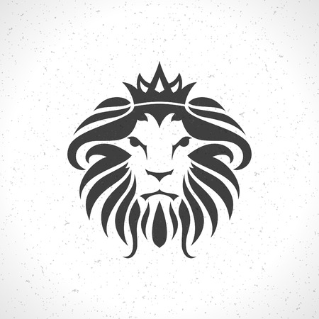 lion face stock photos royalty free lion face images
