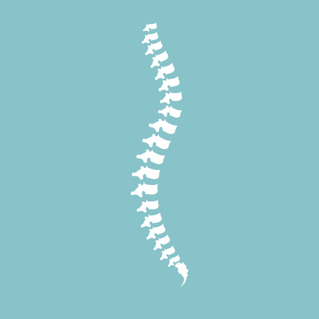 Vector illustration white spine diagnostic symbol, design, sign on blue background. Diagnostic center - 50452785