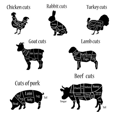 grilled pork: Vector hình minh họa gà tây và thịt cừu, dê, gà, thỏ, bò và thịt lợn cắt diagramm hoặc biểu đồ. Thịt gà, thịt lợn, thịt bò bóng đen. Thịt gà, bò, thịt heo cắt thịt