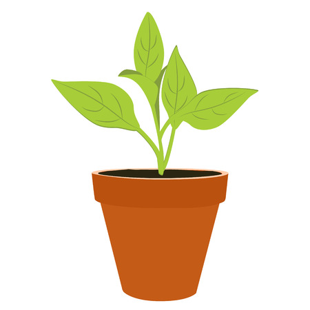 35 865 鉢植え のイラスト素材 ベクター 123rf