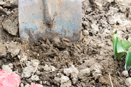 春の土で土を掘りスコップします の写真素材 画像素材 Image