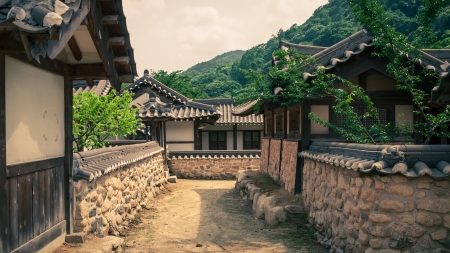 Image result for old chinese  house
