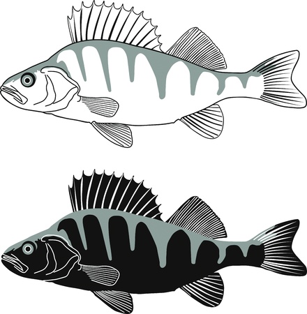 ブルーギル パンフィッシュ ベクトル図ネイティブ アメリカン魚 のイラスト素材 ベクタ Image