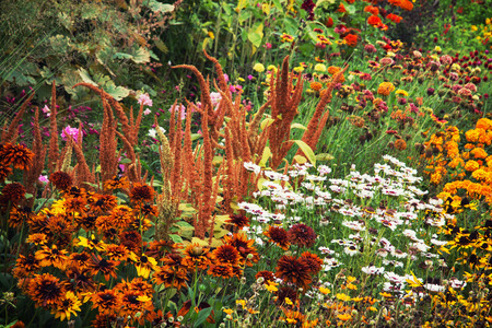 夏の花の完全な庭 自然な背景 の写真素材 画像素材 Image
