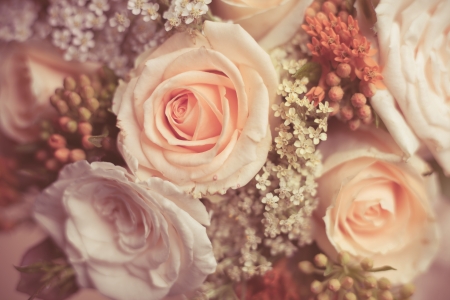 Peach flower: bó hoa hồng trắng và hồng đào xinh đẹp với hoa nhỏ trang trí closeup