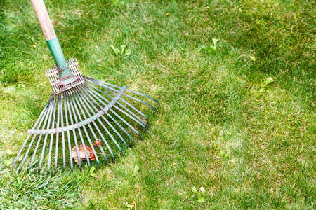 緑の芝生から熊手で落ち葉 の写真素材 画像素材 Image 緑の芝生から熊手で落ち葉 の写真素材 画像素材 Image