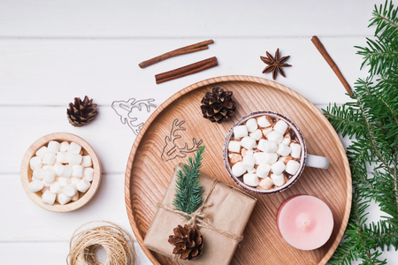 Cocoa with marshmallows, fir branches and other Christmas related small objects Stock Photo