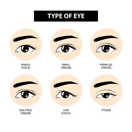 4 635 まぶた のイラスト素材 ベクター 123rf 4 635 まぶた のイラスト素材 ベクター 123rf