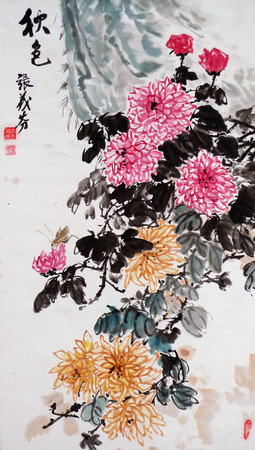 71949366-autumn-chrysanthemum-