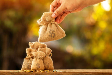 Les mains de l'homme tiennent des sacs d'argent dans le parc public pour des prêts destinés à planifier l'investissement de l'entreprise dans le futur concept.