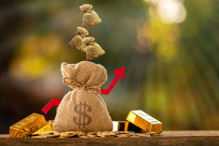 Sacs d'argent et chute et graphique à flèche rouge avec une valeur croissante mise sur le lingot d'or et la pièce de monnaie sur la lumière du soleil dans le parc public, pour les prêts à l'investissement prévu est ensemble dans le futur concept. Banque d'images