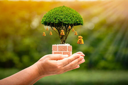 Une main de femme tient le sac d'argent d'un arbre qui pousse à la lumière du soleil dans le parc public, épargne pour l'investissement des entreprises et donne un concept de prêt. Banque d'images