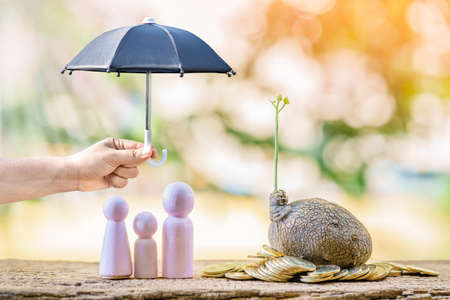 La main de la femme tient ouvert le parapluie noir pour protéger la famille et l'arbre en pleine croissance mis sur la pièce d'or à la lumière du soleil dans le parc public, prêt ou économiser de l'argent pour l'assurance-vie un concept amoureux.