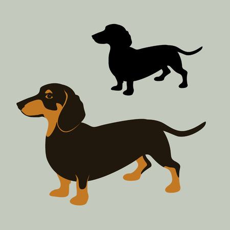 6 175 dachshund stock illustrations cliparts and royalty free