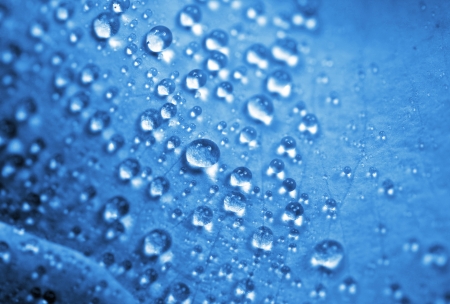 マクロ写真撮影の青い水の背景の水のテーマのマクロ水しぶき の写真素材 画像素材 Image マクロ写真撮影の青い水の背景の水のテーマのマクロ水しぶき の写真素材 画像素材 Image