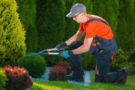 trimming works in a garden professional gardener with his pro works garden equipment