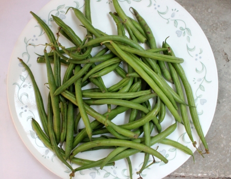 英語エンドウ豆 庭のエンドウ豆 エンドウ 共通豆と他の野菜との組み合わせで野菜として調理される種子を削除しますへの砲撃の丸い種と緑色の丸々 さや の写真素材 画像素材 Image 英語エンドウ豆 庭のエンドウ豆 エンドウ 共通豆と他の野菜との組み合わせで野菜として調理される種子を削除しますへの砲撃の丸い種と緑色の丸々 さや の写真素材 画像素材 Image