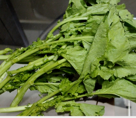 インド マスタード 中国辛子 Desi Sarson カラシナ アブラナ科 太い茎を持つ一年生草本栽培されている 明るい緑色の葉野菜 種子のスパイスとして主に使用されます の写真素材 画像素材 Image インド マスタード 中国辛子 Desi Sarson カラシナ アブラナ科 太い茎を持つ一年生草本栽培されている 明るい緑色の葉野菜 種子のスパイスとして主に使用されます の写真素材 画像素材 Image