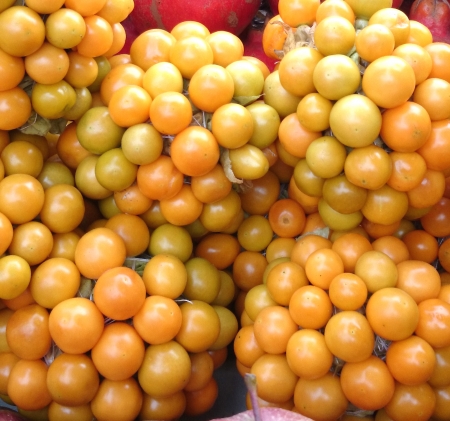 ゴールデンベリー スグリのトマト ヒメセンナリホウズキ ペルー Groundcherry 栽培ハーブ黄金黄色いトマトのような果実をつける膨らんだ萼で囲まれた生で食べられる の写真素材 画像素材 Image ゴールデンベリー スグリのトマト ヒメセンナリホウズキ ペルー Groundcherry 栽培ハーブ黄金黄色いトマトのような果実をつける膨らんだ萼で囲まれた生で食べられる の写真素材 画像素材 Image