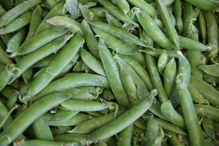 英語エンドウ豆 庭のエンドウ豆 エンドウ 共通豆と他の野菜との組み合わせで野菜として調理される種子を削除しますへの砲撃の丸い種と緑色の丸々 さや の写真素材 画像素材 Image 英語エンドウ豆 庭のエンドウ豆 エンドウ 共通豆と他の野菜との組み合わせで野菜として調理される種子を削除しますへの砲撃の丸い種と緑色の丸々 さや の写真素材 画像素材 Image