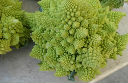 ロマネスコ ブロッコリー ロマネスコ カリフラワーのカリフラワーとブロッコリーの目新しさ豊かな栄養素と繊細な味のほかの小さい円錐形のデザインを繰り返し自己の中間のフラクタル食品 の写真素材 画像素材 Image ロマネスコ ブロッコリー ロマネスコ カリフラワーのカリフラワーとブロッコリーの目新しさ豊かな栄養素と繊細な味のほかの小さい円錐形のデザインを繰り返し自己の中間のフラクタル食品 の写真素材 画像素材 Image