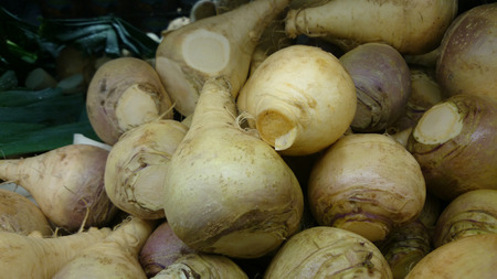 ルタバガ スウェーデン カブ アブラナ属ナタネべた アブラナ科植物ナタネ Napobrassica カブのような根野菜が黄色がかった肉 野菜として調理されます の写真素材 画像素材 Image