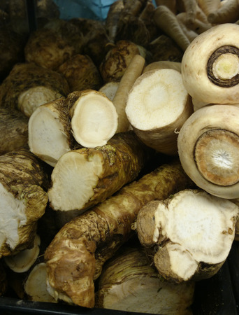 セルリーと Rapaceum 根セロリ栽培ハーブ野菜として使用多肉質の根 葉の解剖 繖形花序の花を持つ の写真素材 画像素材 Image セルリーと Rapaceum 根セロリ栽培ハーブ野菜として使用多肉質の根 葉の解剖 繖形花序の花を持つ の写真素材 画像素材 Image