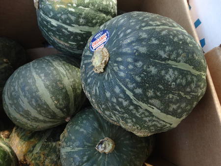 緑のカボチャ カボチャ 白灰色の縞模様 オレンジふわふわ甘い果肉は黄色 多くの料理に使用すると深い緑色の皮膚とスクワット パンプキンパン の写真素材 画像素材 Image