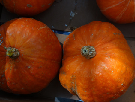 緑のカボチャ カボチャ 白灰色の縞模様 オレンジふわふわ甘い果肉は黄色 多くの料理に使用すると深い緑色の皮膚とスクワット パンプキンパン の写真素材 画像素材 Image