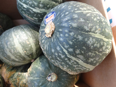 緑のカボチャ カボチャ 白灰色の縞模様 オレンジふわふわ甘い果肉は黄色 多くの料理に使用すると深い緑色の皮膚とスクワット パンプキンパン の写真素材 画像素材 Image