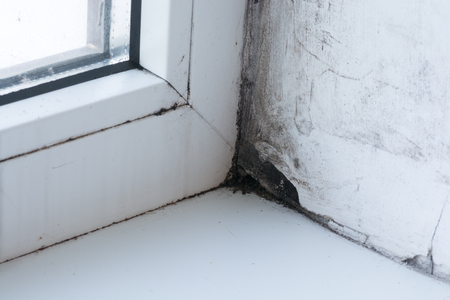 Moldy Window Stock Photos Royalty Free Moldy Window Images