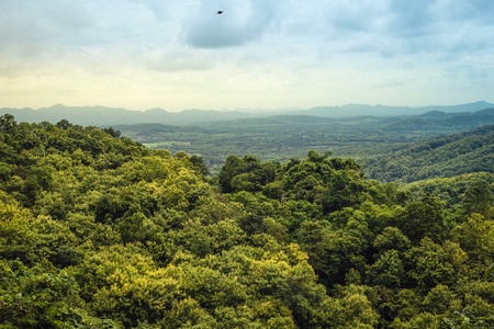 nature trails along the way during the rainy season stock photo