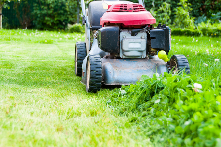lawn mowing pics