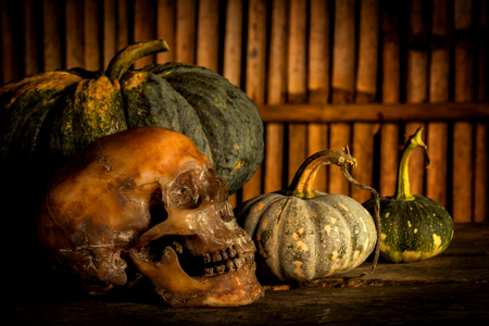 Still life with pumpkin and skull Stock Photo