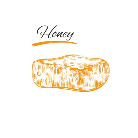蜂蜜 ベクトルは手描き下ろしコレクションです 天然ハーブと花です 美しさとアーユルヴェーダ オーガニック化粧品のイラスト素材 ベクタ Image