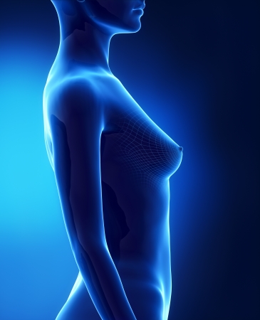 Female With Breast Size B Lateral View Stock Photo, Picture And Royalty Free Image. Image 16586748.