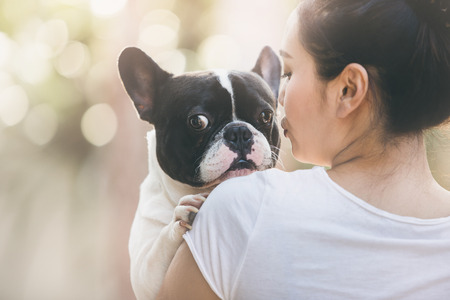 フレンチ ブルドッグはかわいい女の子にキスです 彼女は犬に運ぶ の写真素材 画像素材 Image