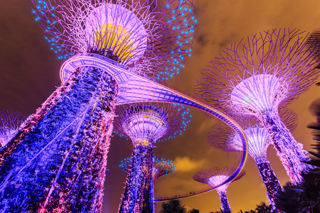シンガポールは 色とりどりの花の花の庭を建物です の写真素材 画像素材 Image シンガポールは 色とりどりの花の花の庭を建物です の写真素材 画像素材 Image
