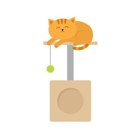 かわいいオレンジ色の猫が寝ている横になっています 髭ひげ 面白い漫画のキャラクター Scrathing ロープのポスト ボールおもちゃをぶら下げで正方形の家 分離されました 白い背景 フラットなデザイン ベクトル図のイラスト素材 ベクタ Image