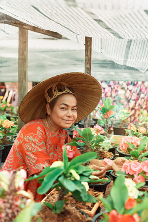 Happy Asian Woman With Vietnamese Straw Hat Potting Flowers In The Garden. Small Business Concept. Colorful Potted Flowers Euforbia Spurges Bring Lucky Energy At Your Home.