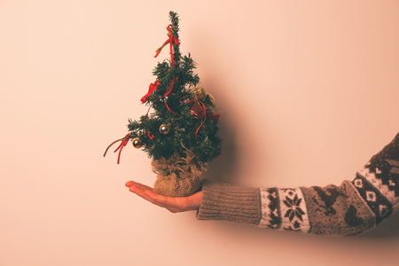 miniature christmas tree with red decoration in hand closeup stock photo 89721950 - Miniature Christmas Tree miniature christmas tree with red decoration in hand closeup stock photo 89721950 - Miniature Christmas Tree