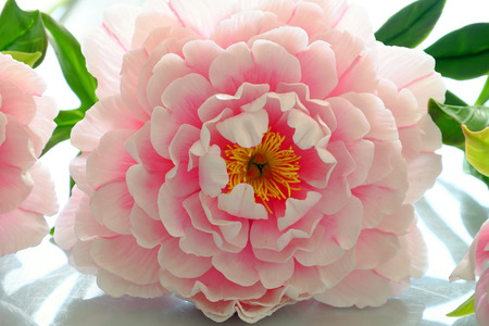 白い背景に粘土から素晴らしいピオニーの花 とても素晴らしい粘土アートからの人工花 ピンクの花びらとアートワーク 緑の葉はとても美しい の写真素材 画像素材 Image 白い背景に粘土から素晴らしいピオニーの花 とても素晴らしい粘土アートからの人工花 ピンクの花びらとアートワーク 緑の葉はとても美しい の写真素材 画像素材 Image