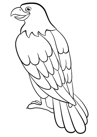 young american bald eagle stock photos & pictures. royalty free ... - American Bald Eagle Coloring Page young american bald eagle stock photos & pictures. royalty free ... - American Bald Eagle Coloring Page