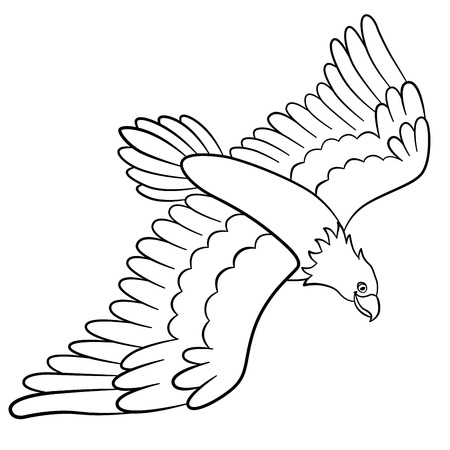 Coloring Pages Wild Birds Cute Eagle Flies And Smiles Stock Vector