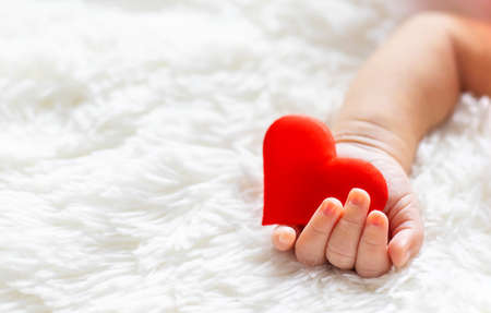 newborn baby holding a heart in his hands. selective focus. people. Zdjęcie Seryjne