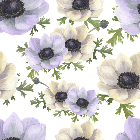 白 青 紫のアネモネと水彩のシームレスなパターン 手には ビンテージ背景と花のイラストが描かれました 植物のイラスト 設計 織物および背景 の写真素材 画像素材 Image
